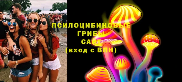 spice Алексин