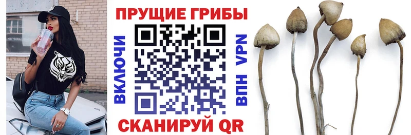 Галлюциногенные грибы мухоморы  Сосновоборск 